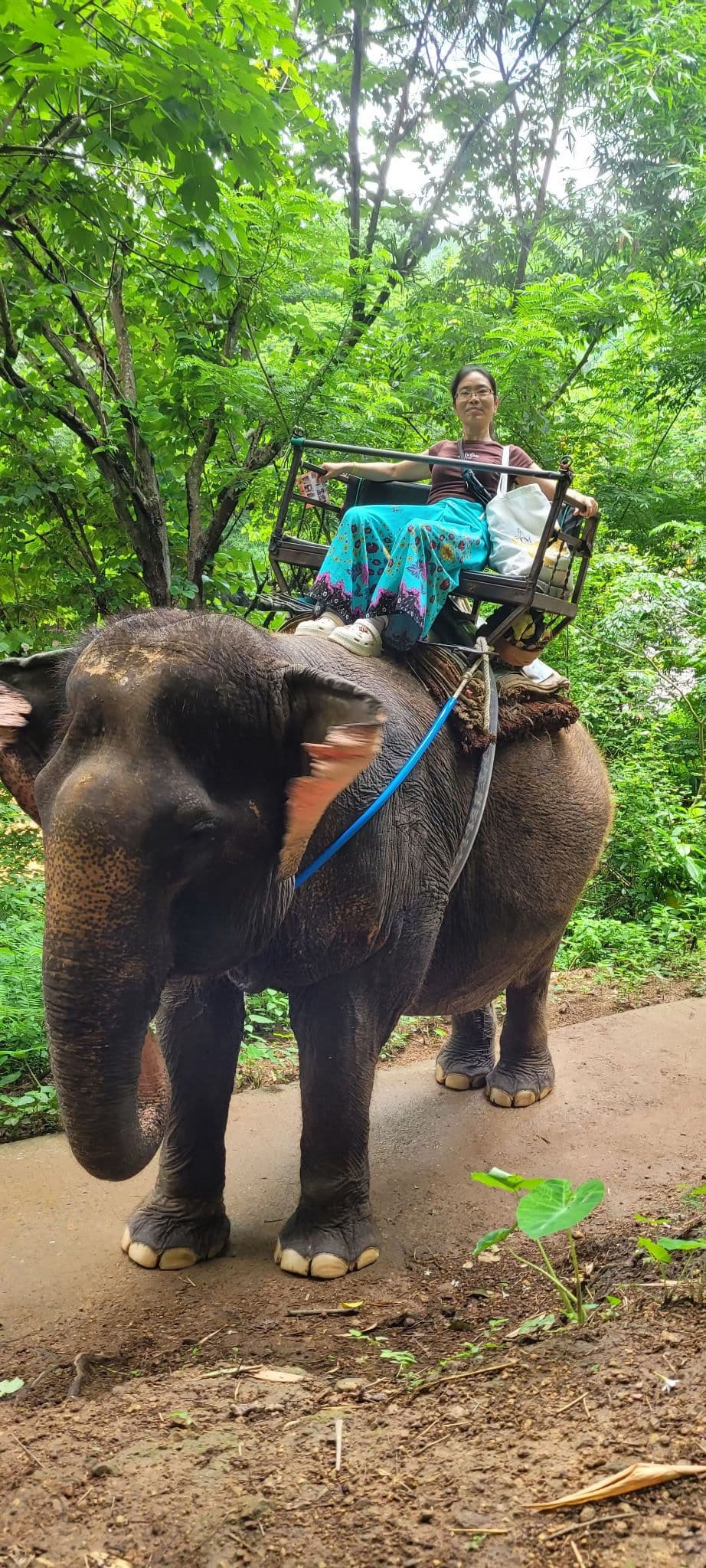 White double front entry doors installed at residential home