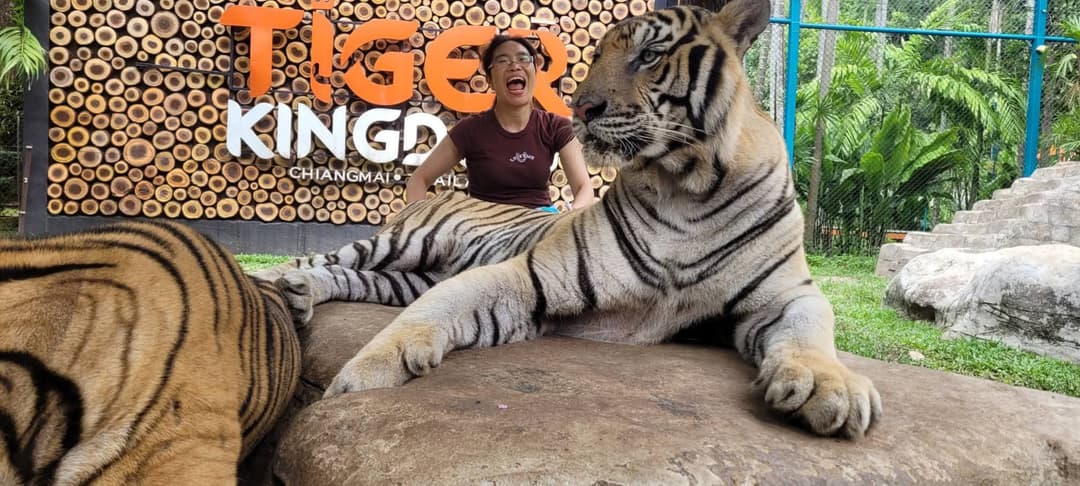 White double front entry doors installed at residential home